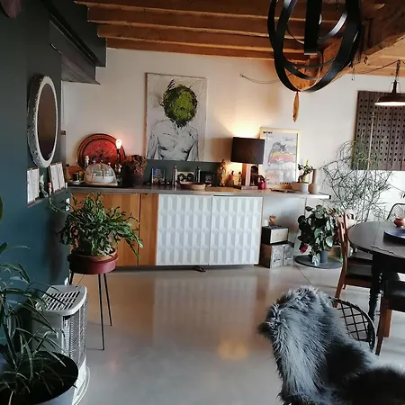Maison Boheme